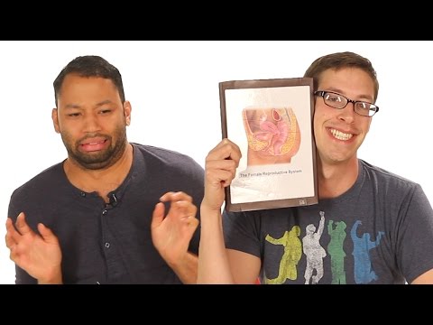 Cranberry-Rezepte für Prostatitis Magnetische Laser-Therapie-Behandlung von Prostata-