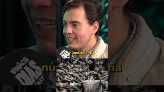 CECOT: A Prisão que é o terror dos direitos humanos..