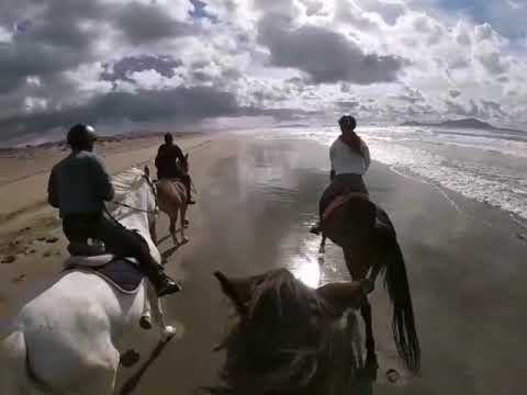 Galoppo in spiaggia
