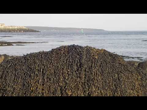 Beach/Shout out for channel: Aziza Sophiavlog