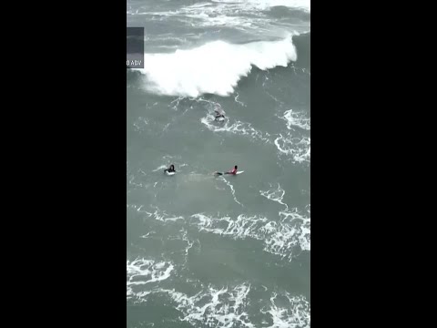 Connor O'Leary advances to the Round of 16 with a massive 8.23