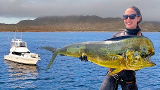 Baja Mexico, Policiá Van Chase & Spearfishing Mahi Mahi Madness!