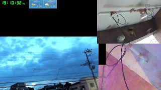 【ツバメさんSwallow】20230731電線空配信´・ω・｀)Wild birds