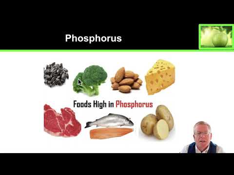 3.5 Major Minerals  Calcium Phosphorus and Magnesium thumbnail