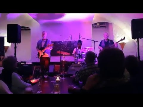 Ramon Goose - Cumbia Por Los Muertos ( Live at the Freiburg Blues Festival 2019 )