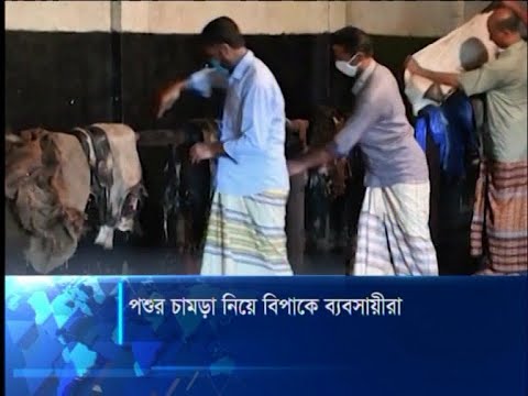 পশুর চামড়া কেনা নিয়ে বিপাকে জয়পুহাটের ব্যবসায়ীরা | ETV News