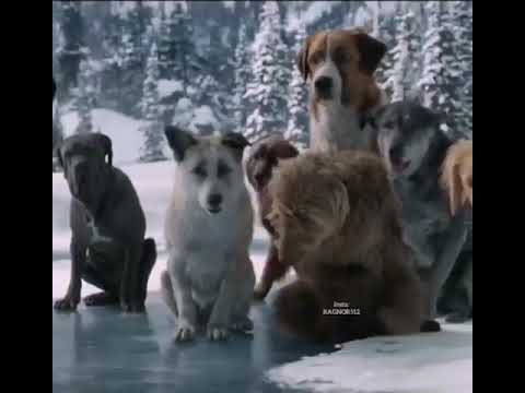 Difference between boss nd leadership