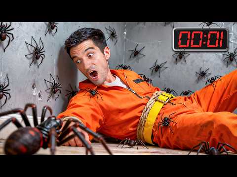 Am fost INCHIS cu ZECI de PAIANJENI!