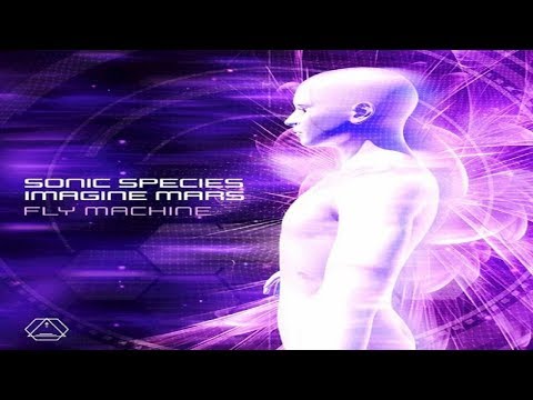 Sonic Species & Imagine Mars - Fly Machine