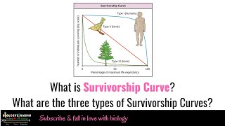 What is Survivorship curve? 3 types of Survivorship curves with examples