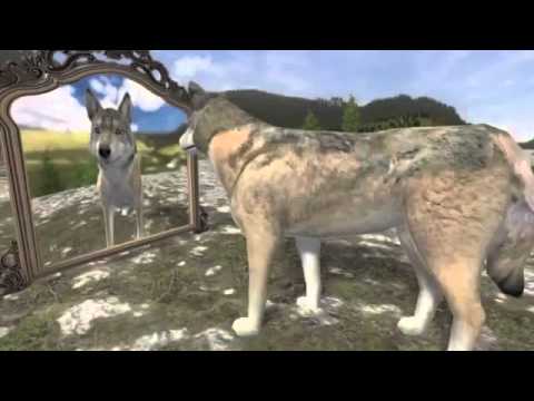 Wolf Quest Vore