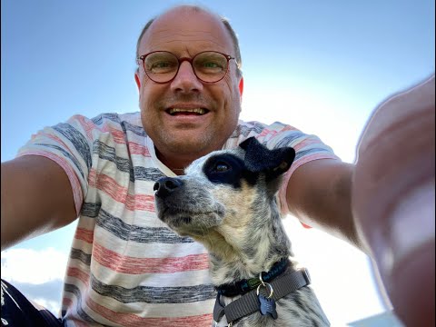 Allgemeines Verwaltungsrecht - AVR - HSPV - "Hundeklausur 2023" Teil 1