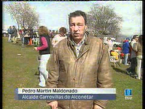 VII muestra del almendro en flor en la tele