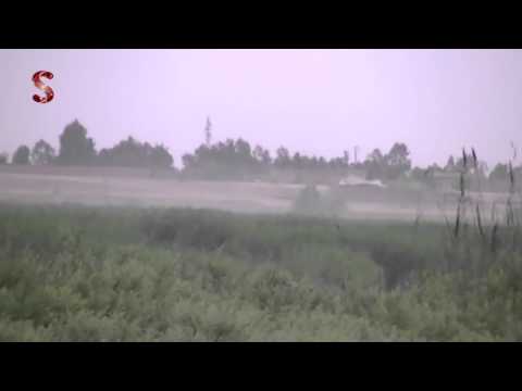 اشتباكات بين عناصر جبهة النصرة وتنظيم الدولة الإسلامية في جديد عقيدات