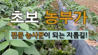 초보 농부가 전문 농사꾼이 되는 지름길! #주말농장 #텃밭 잘 가꾸는 방법.