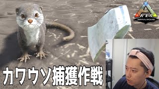 【ARK】布団ちゃんのカワウソ捕獲作戦まとめ【2021/8/15〜8/16】