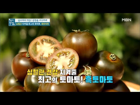 , title : '심혈관 건강에 좋은 최고의 토마토가 있다? 귀족 토마토를 찾아라!'