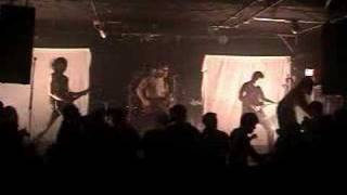 The Joy Decoys Are Coming