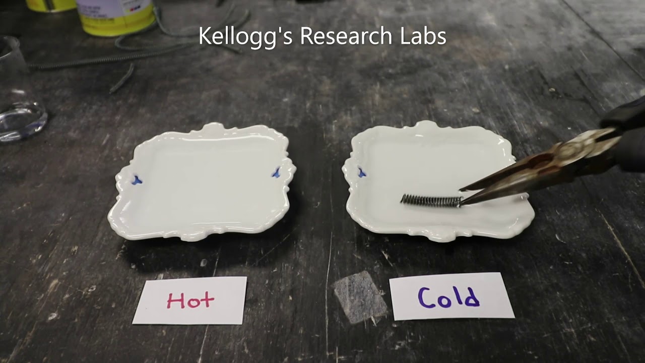 Nitinol Kellogg's Research Labs