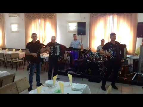 Splet kola uzivo ork. Nebojse Radovanovic