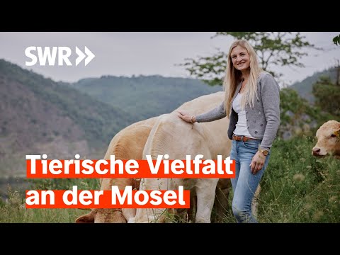 Zu Gast bei Michaela Pistono an der Mosel (S17/E01) | Lecker aufs Land