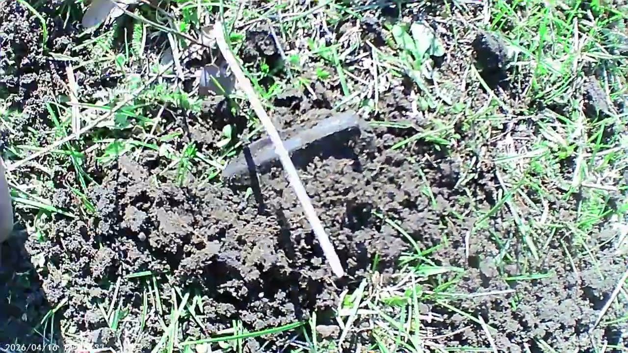 Неожиданная находка на копе наконечник стрелы эпохи скифов