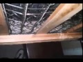 Desiree Breaks The Bed By Jumping Hella Hard Mp4