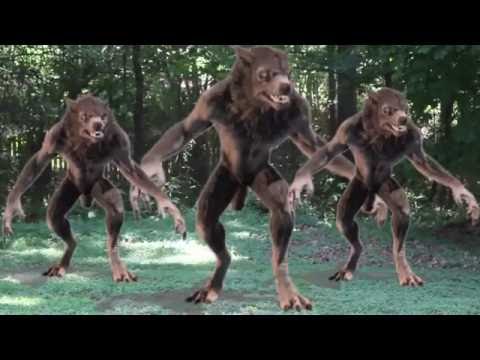 Bellaments Trailer (part 1)