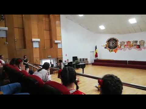 Festival Alexandru Pascanu iunie 2019