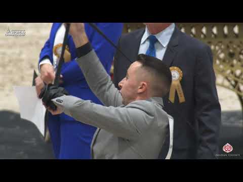 N 117 RAWANDRO   Paris 2019   Junior Colts Class 5A