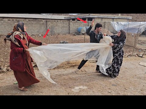 Ayas got into a fight with his sister Fatima because of tension between Soraya, Amir's second wife.