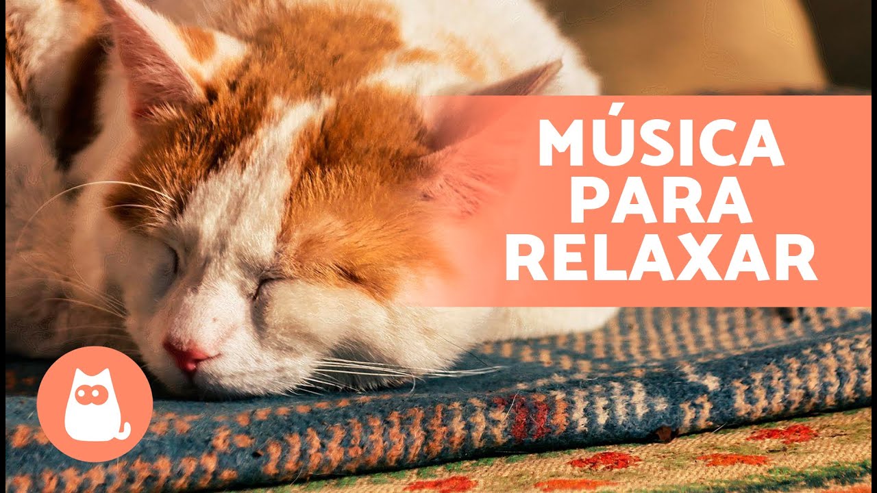 Música RELAXANTE para GATOS estressados 🐱💫 Relaxe e acalme seu felino!