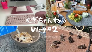 Vlog#2 Eng [ドイツ在住女子の日常] デスク周り購入品紹介、ダイエットの時の朝食、デートのランチ