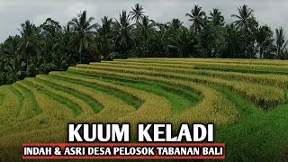 Download lagu Asrinya desa pelosok tabanan bali. KUUM KELADI PESAGI Tabanan bali mp3