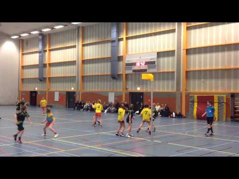 Noord 12 - Flamingo's C1 Helft 2