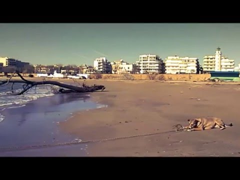 Ibojima - Imajical Sun