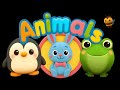 Happy Animals Sensory Music Video For Babies And Toddlers