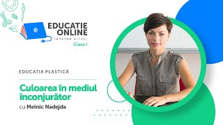 Culoarea în mediul înconjurător