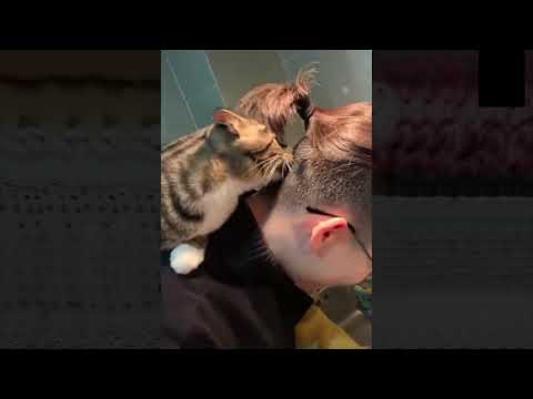 los animales¡LOS ANIMALES DIVERTIDOS FALLAN! - ¡INTENTA NO RETAR EL RETO!