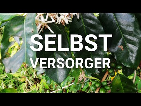 DIE PURE FREIHEIT - Leben Als Selbstversorger