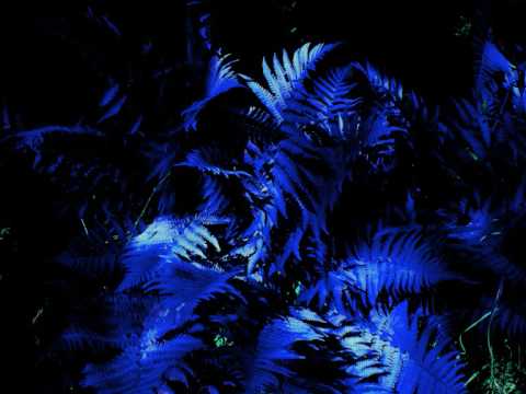 Kurwastyle Project - Extreme Fast Splitter Suckmix