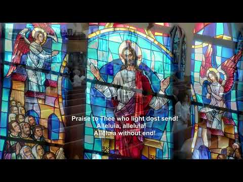 Hymn - “Thy Strong Word” - LSB 578