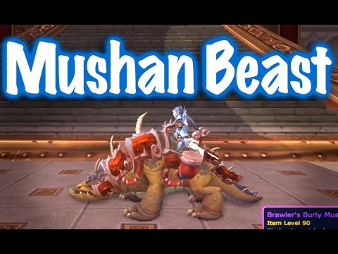 Jessiehealz - S1 Brawler's Burly Mushan Beast Guide (World of Warcraft)