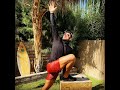 🧘♂️ SHORT: Pre Walk/Run Warmup | Stepup Mobility Flow BJ Gaddour Flexibility Warmup