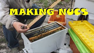 Making Nucs to Sell