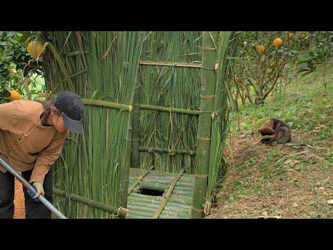 Building a Natural Bamboo Toilet | Life on $1,000 Land | Ep 9