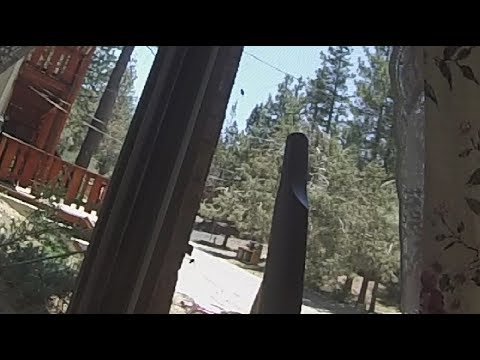 Catching flies with a vacuum cleaner