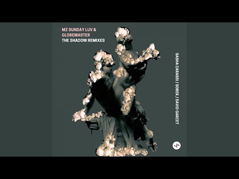 The Shadow (Sasha Carassi Remix)
