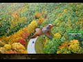 Tamil WhatsApp Status