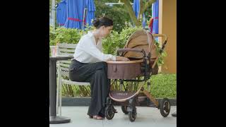 Chilux V1.6 Baby Stroller keeps baby safe and sound outside